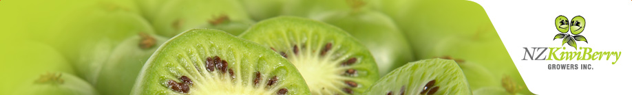 Zespri Canopy
